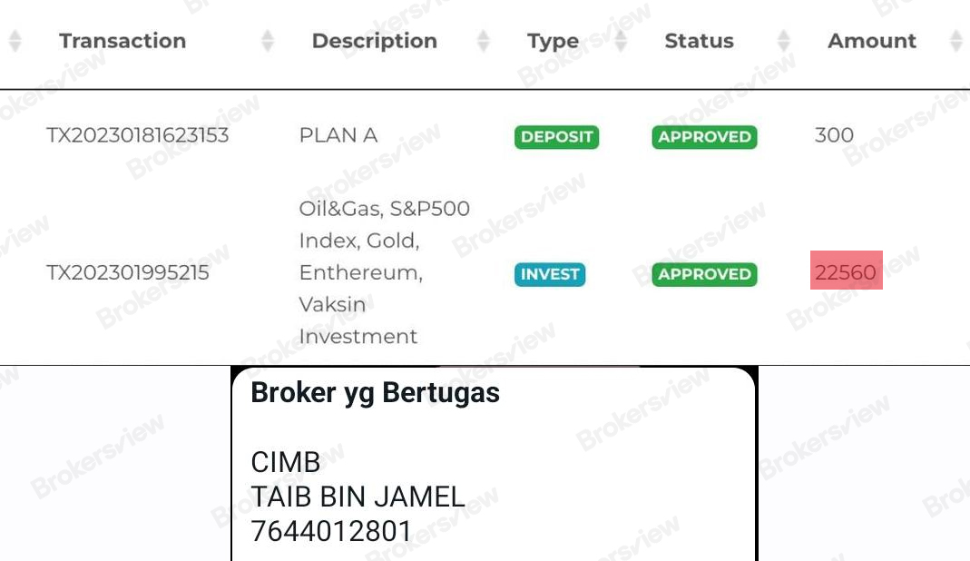 Fake profit and the bank account of the scammer.
