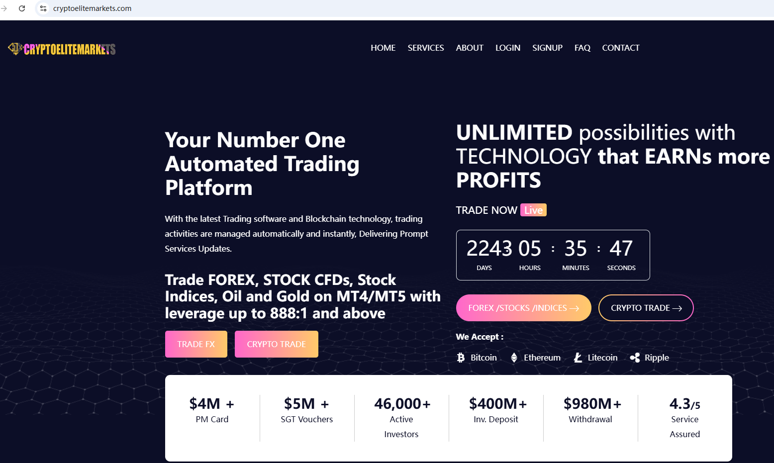 Crypto Elite Markets Review 2026 | Information about Crypto Elite Markets  Forex Broker - BrokersView