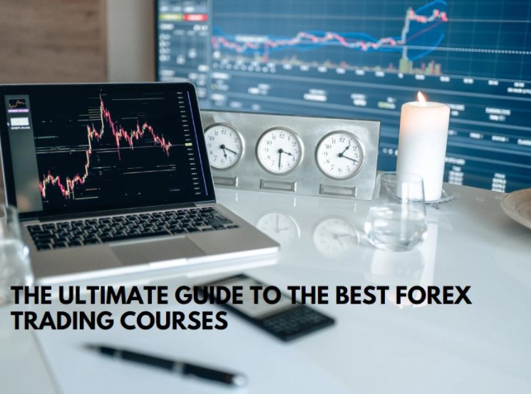 The Ultimate Guide to the Best Forex Trading Courses
