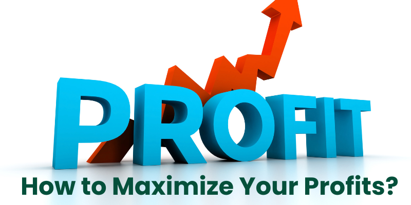 Maximizing Your Profits in Puerto Rico