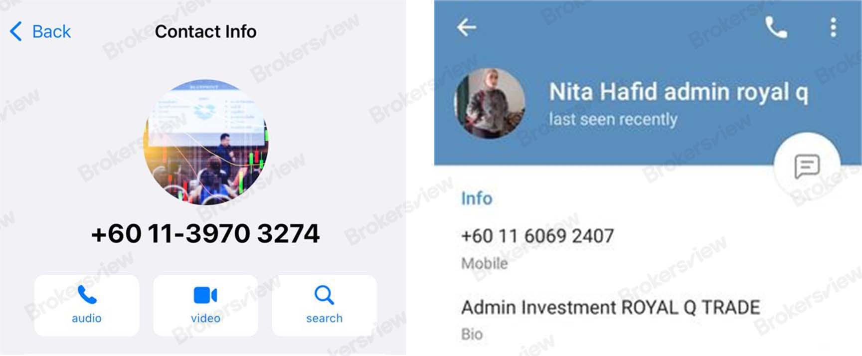 Different scammer contacts from Royal Q.