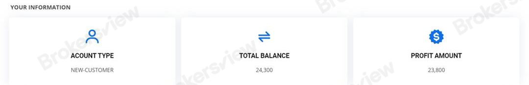 The scammed investor's account shows a profit, but this is actually fake.