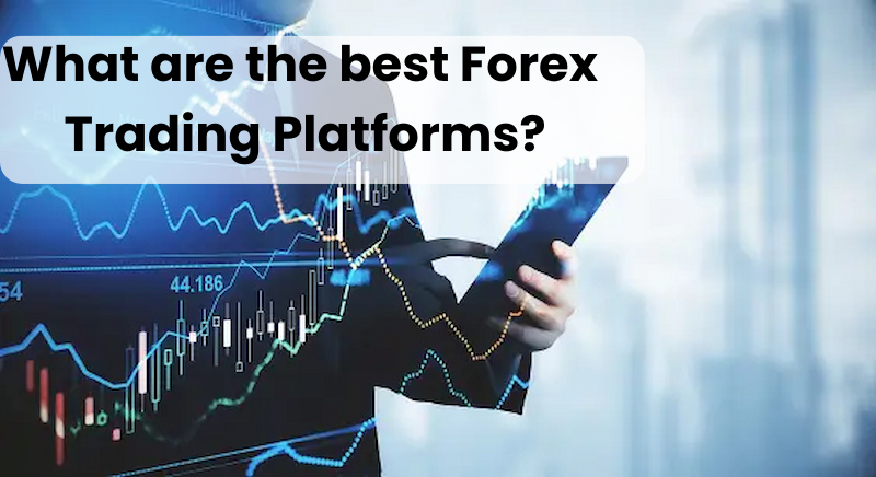 What are the best Forex Trading Platforms?