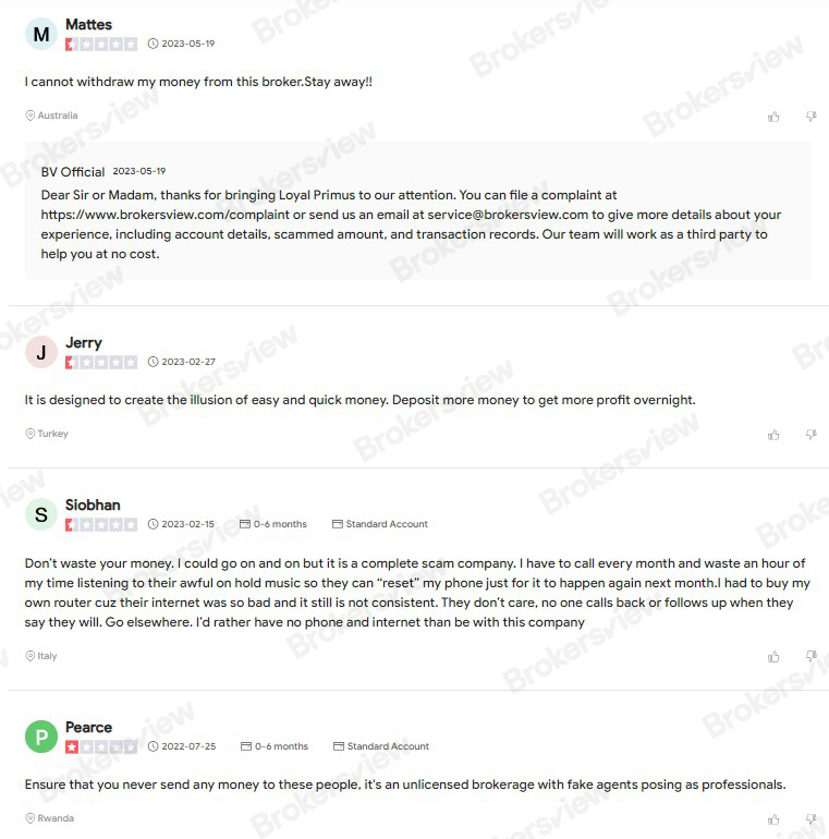 Reviews on Loyal Primus