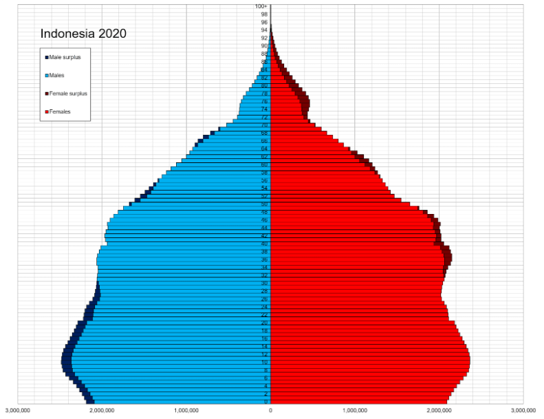 Indonesia Population pyramid, source:wikipedia