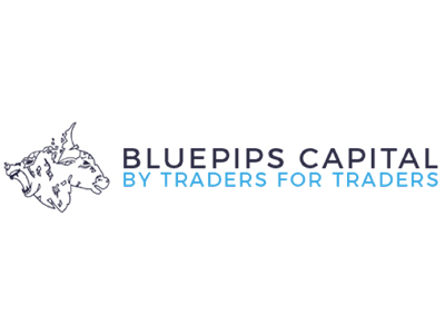BluePips Capital - bluepips.co BluePips Capital scam review by Cryptowledge - bluepips.co