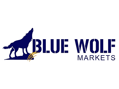 Blue Wolf Markets scam review by Cryptowledge - en.bluewolfmarkets.com