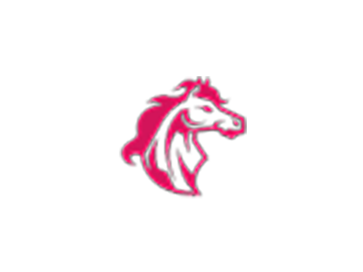 Crypto Stallions Pro - cryptostallionspro.com Crypto Stallions Pro scam review by Cryptowledge - cryptostallionspro.com
