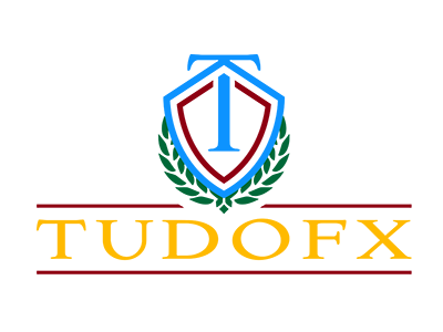 TudoFX - tudofx.com TudoFX scam review by Cryptowledge - tudofx.com