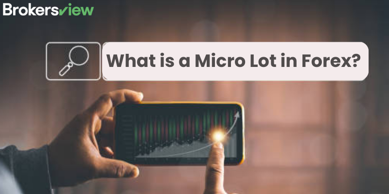 What is a Micro Lot in Forex?