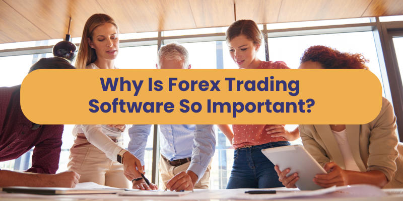 Why Is Forex Trading Software So Important?