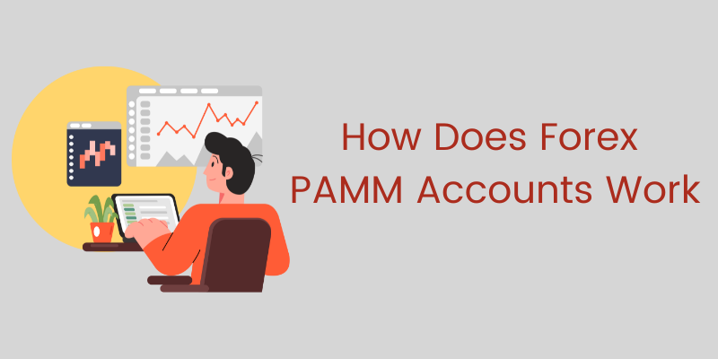How Does Forex PAMM Accounts Work