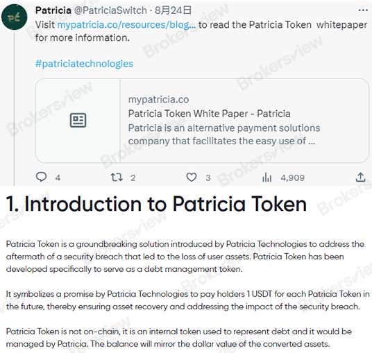 Patricia released PTK white paper on August 24th