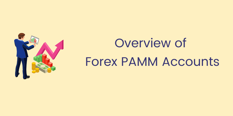 Overview of Forex PAMM Accounts