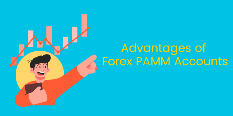 Advantages of Forex PAMM Accounts