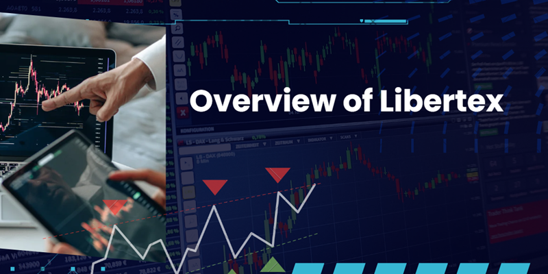 Overview of Libertex