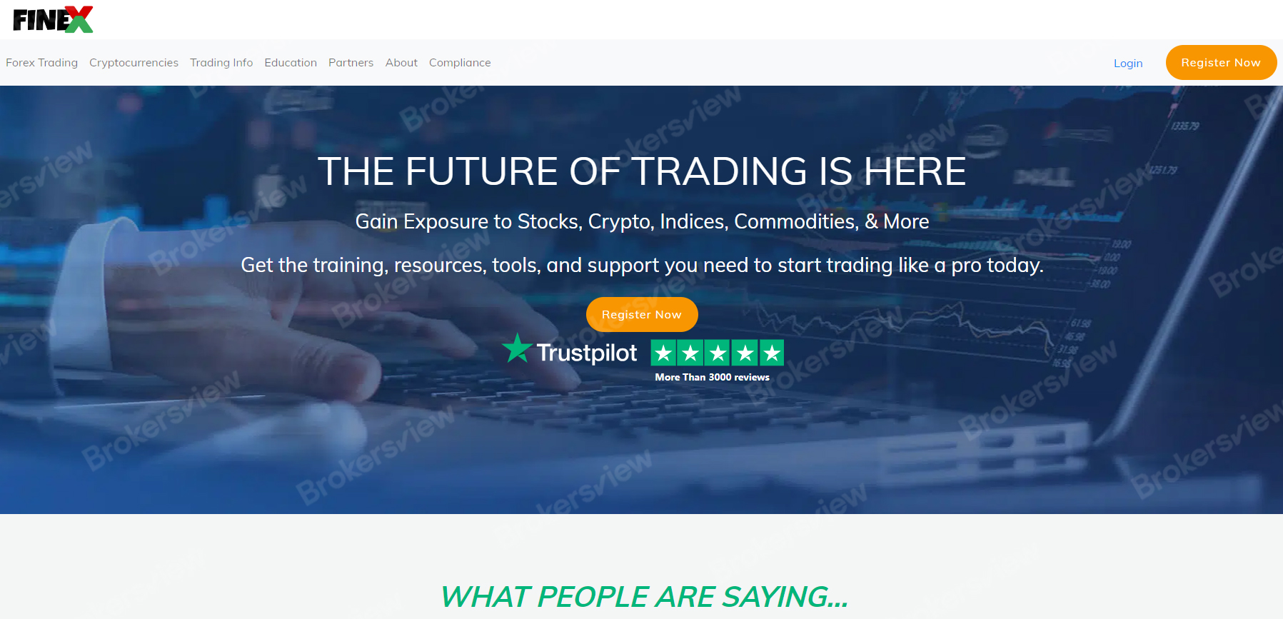 the website page of Finex Group