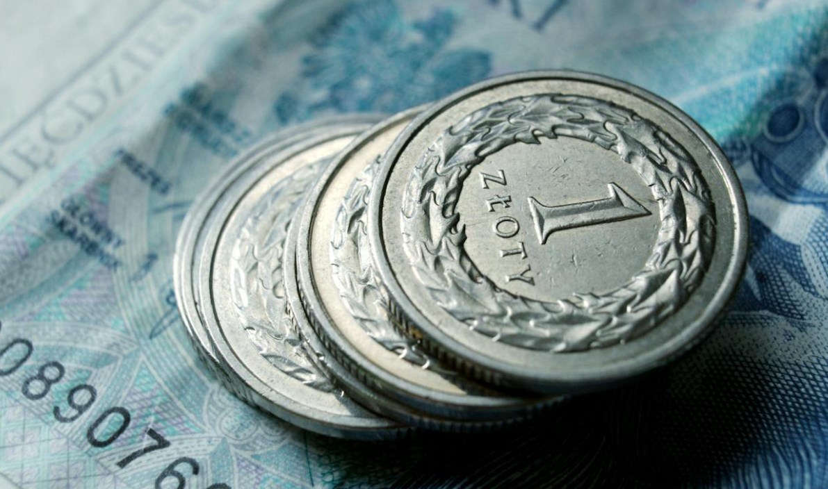 Understanding the Polish Zloty (PLN) - BrokersView