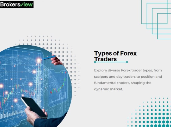 Types of Forex Traders: A Comprehensive Analysis - BrokersView