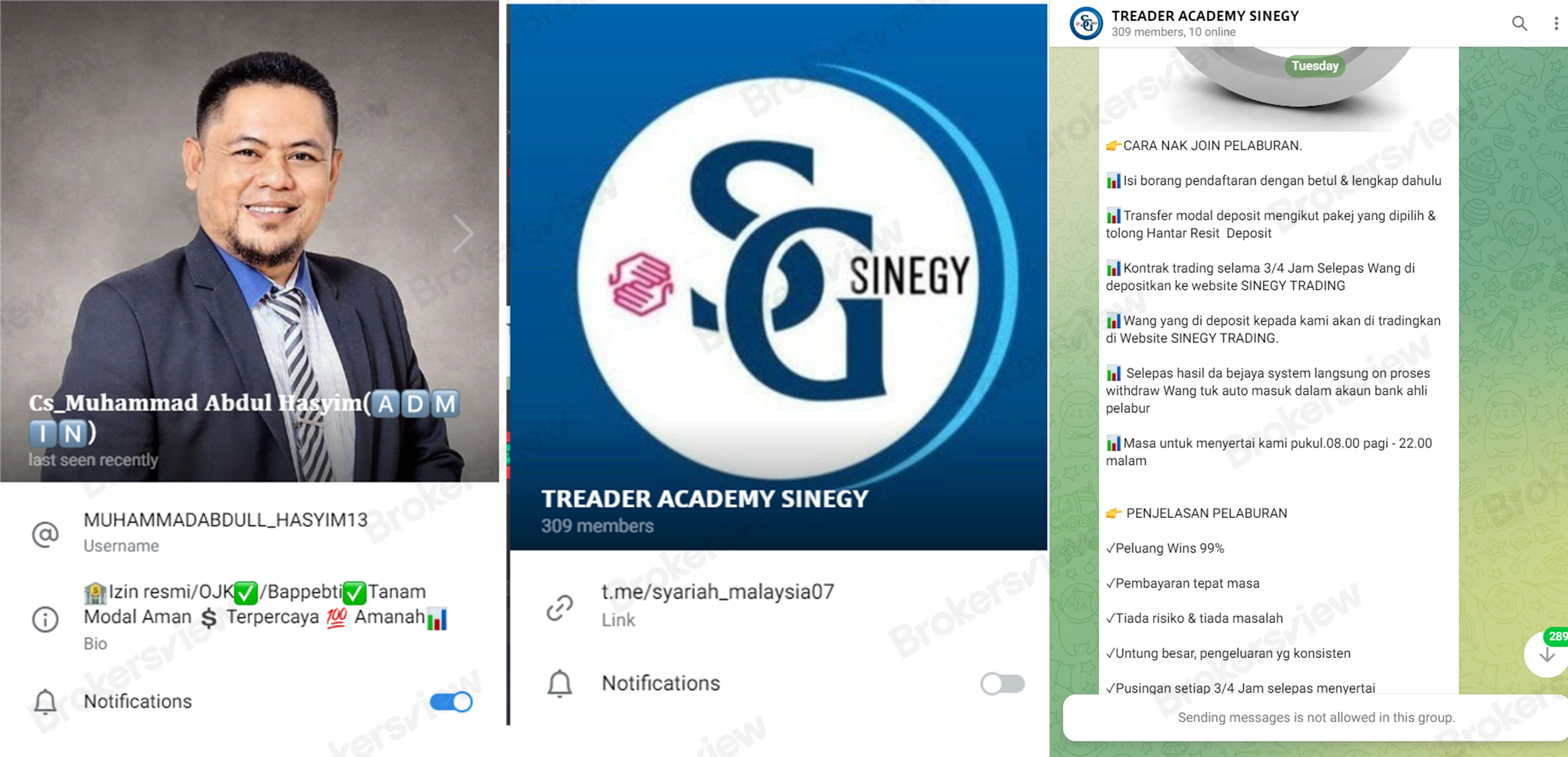 SINEGY MALAYSIA's scammer contacts