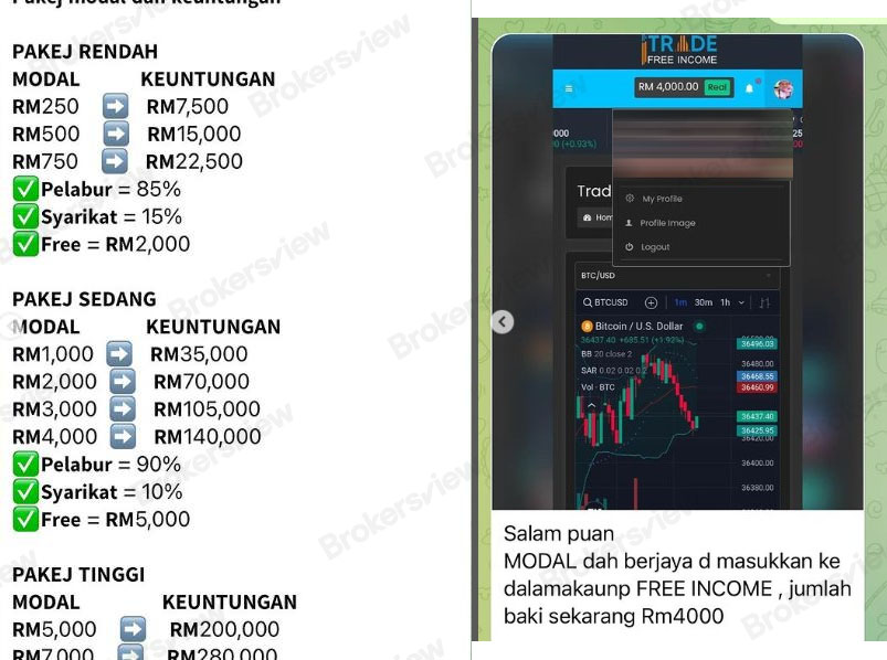 SEDIA Investment fixed-income