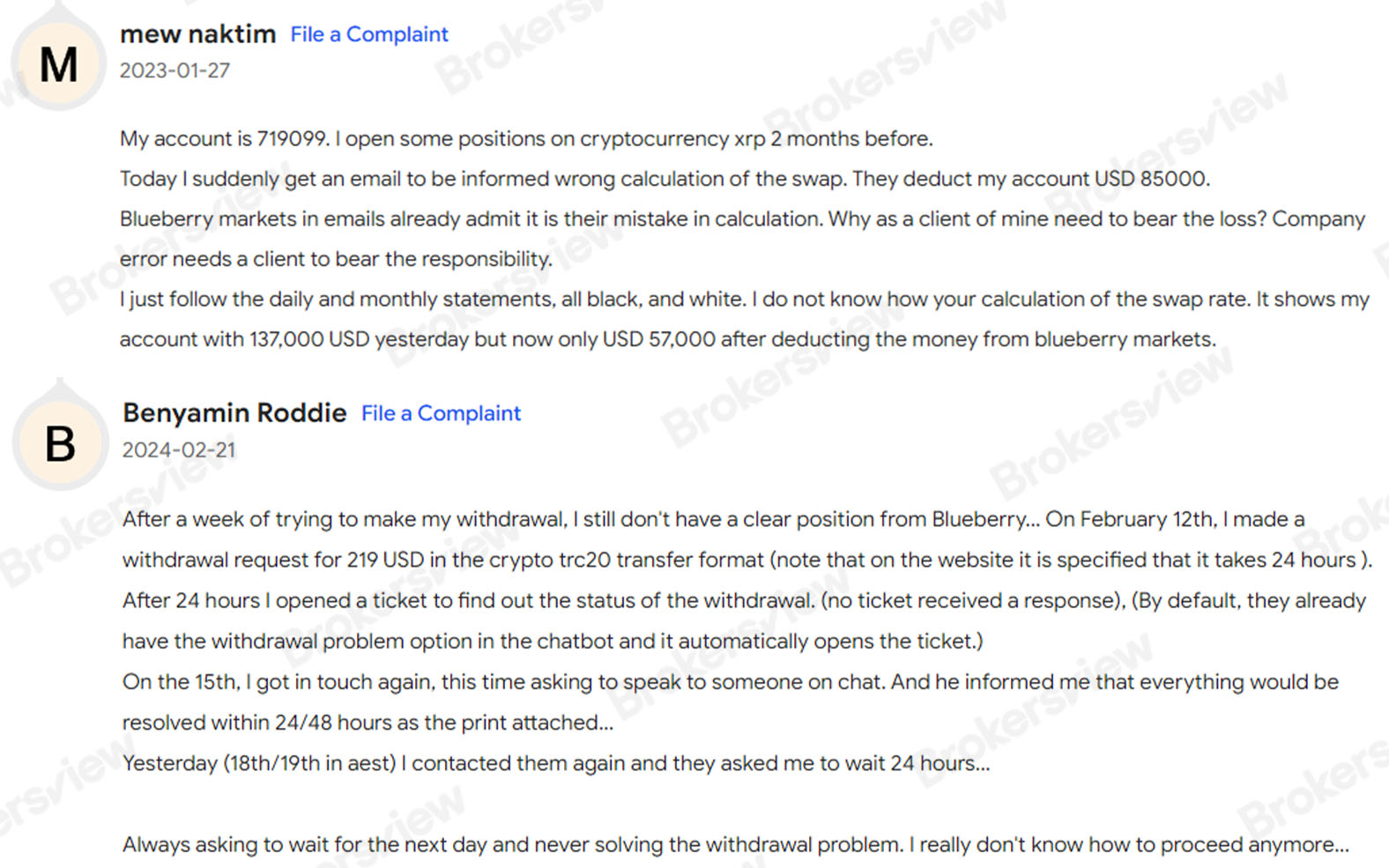 Blueberry Markets遭到客户投诉