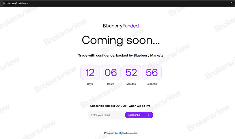 Ảnh chụp màn hình trang web BlueberryFund