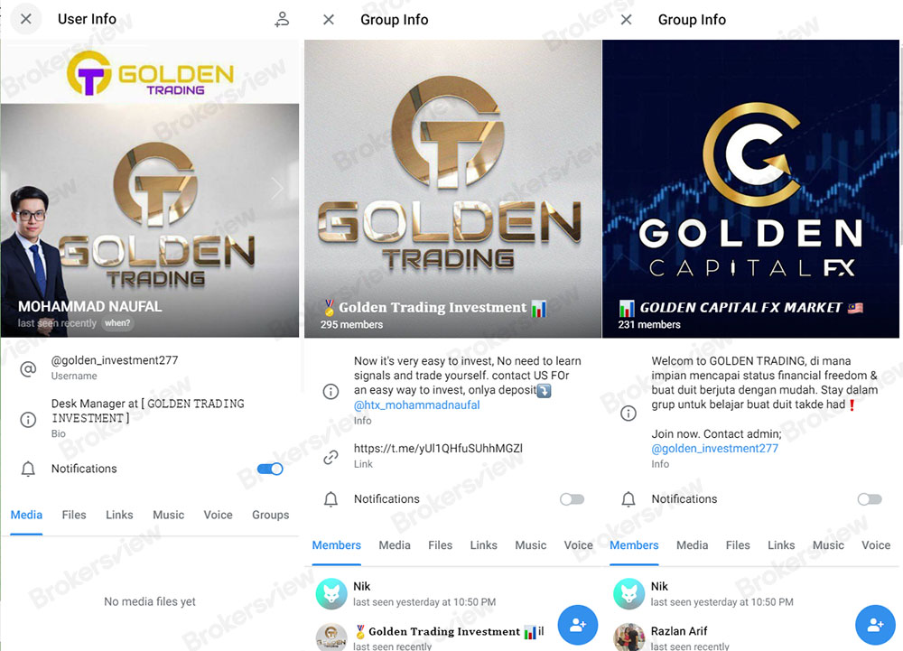 الدردشة الجماعية لشركة Golden Trading وصفحة معلومات المسؤول