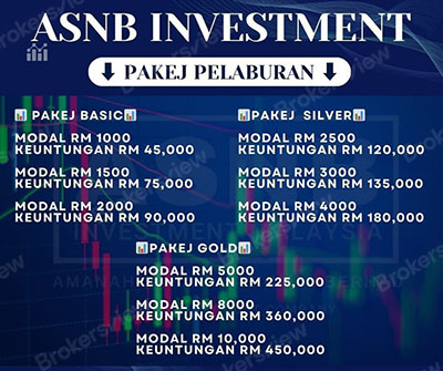 the fraudulent trading package offered by the scammer
