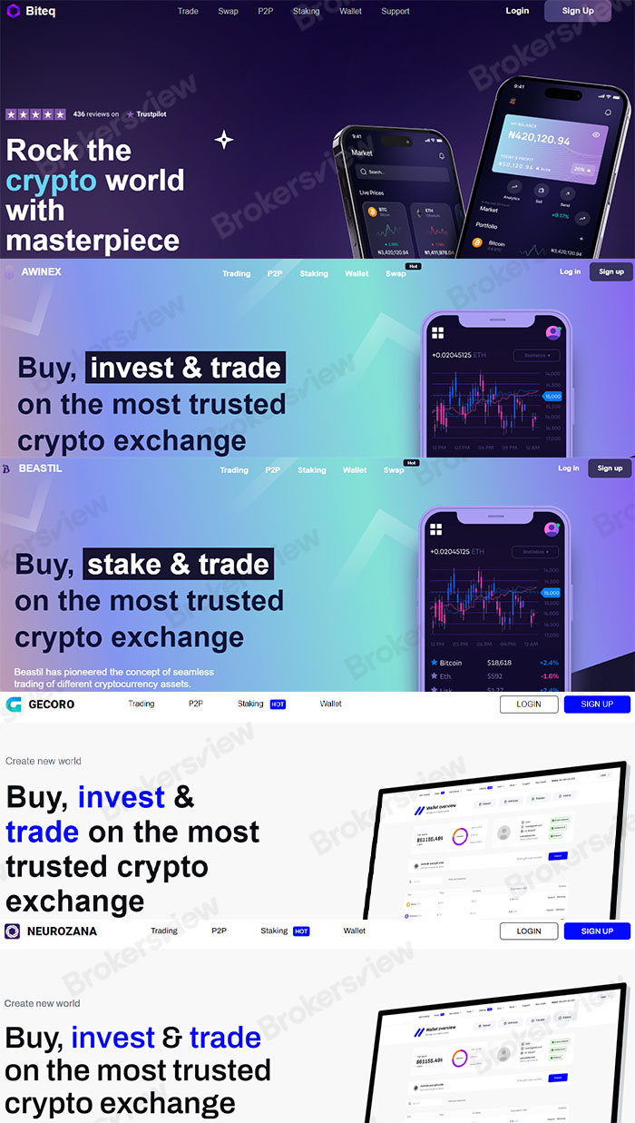 NZ FMA Issues Warning: Biteq.io and 22 Duplicate Trading Websites Suspected  of Scams - BrokersView