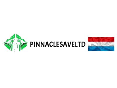 Pinnaclesaveltd.top scam review by Cryptowledge - pinnaclesaveltd.top