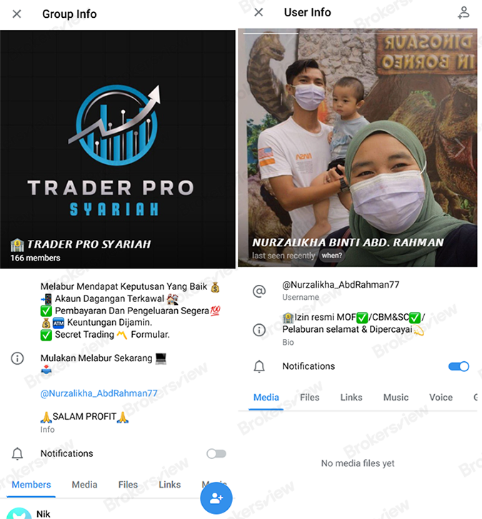 The profile of the investment group and its administrator