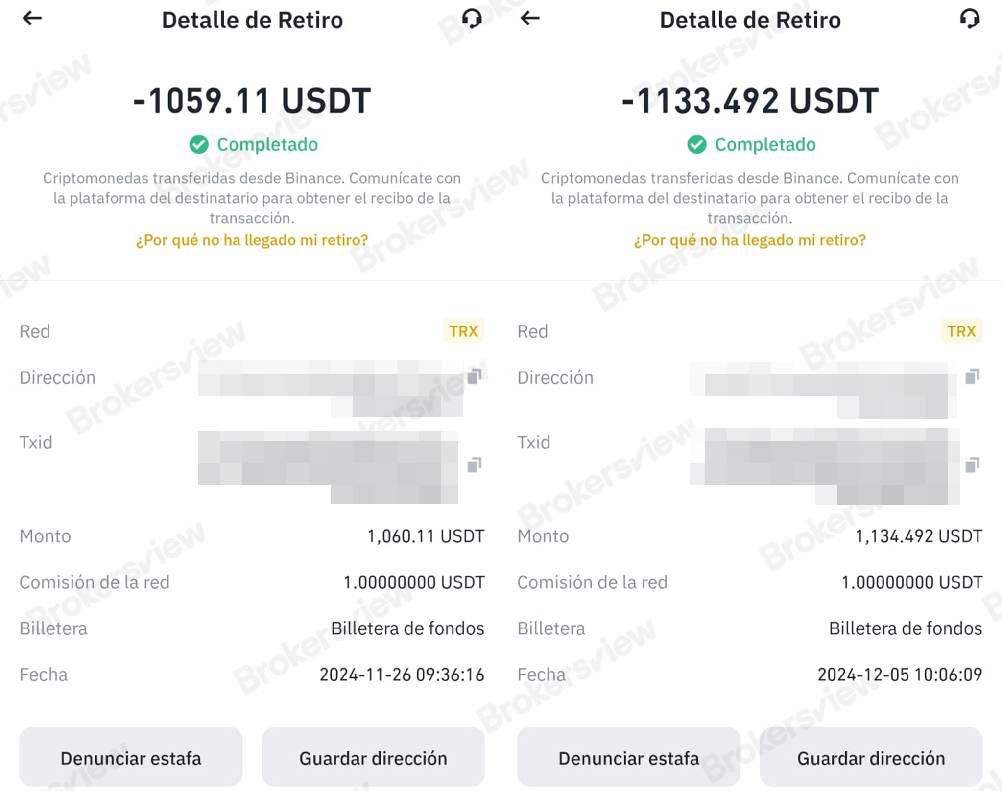 受害者向NYBOT Global骗子转账