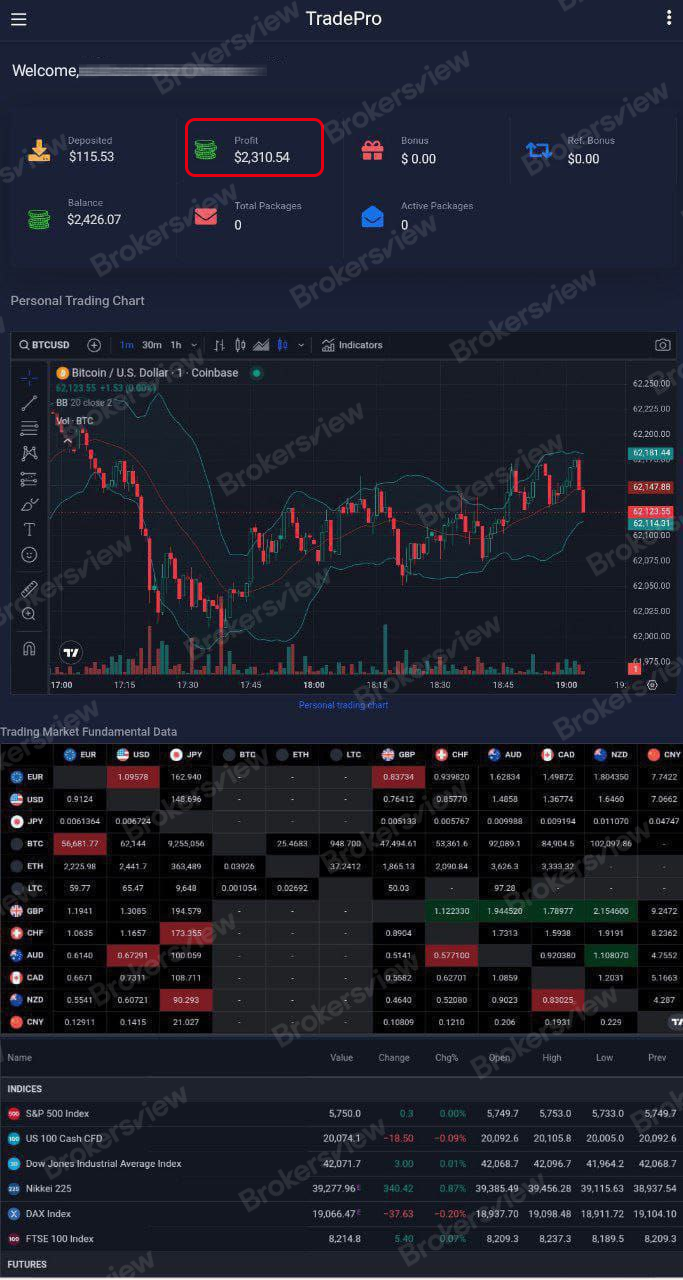 The screenshot that made the victim believed has $2000+ profits in his account