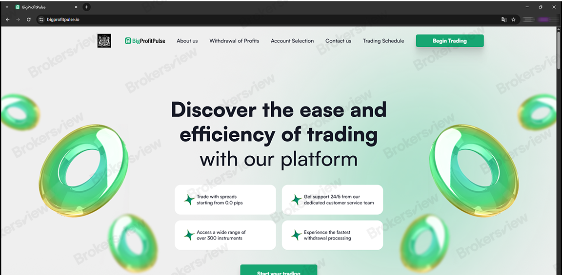 A screenshot of BigProfitPulse's homepage