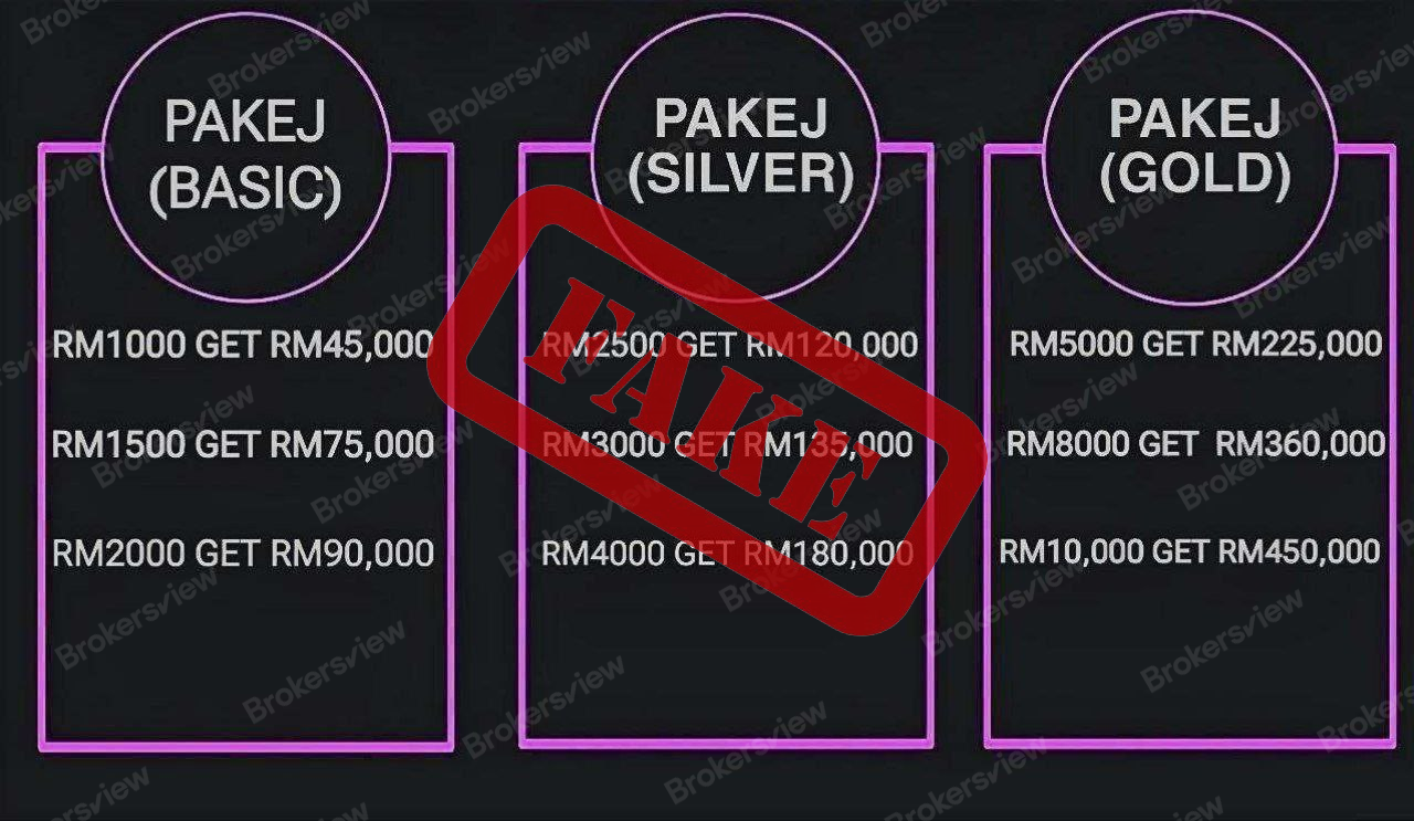 According to the scammer's promise, the investor could earn RM45,000 after making the deposit.