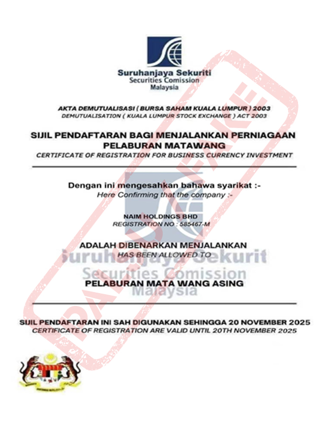 Naim Holdings