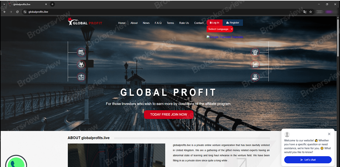 Global Profits / globalprofits.live