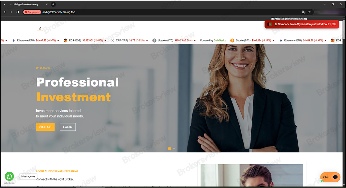 ALIDIGITALMARKETEARNING