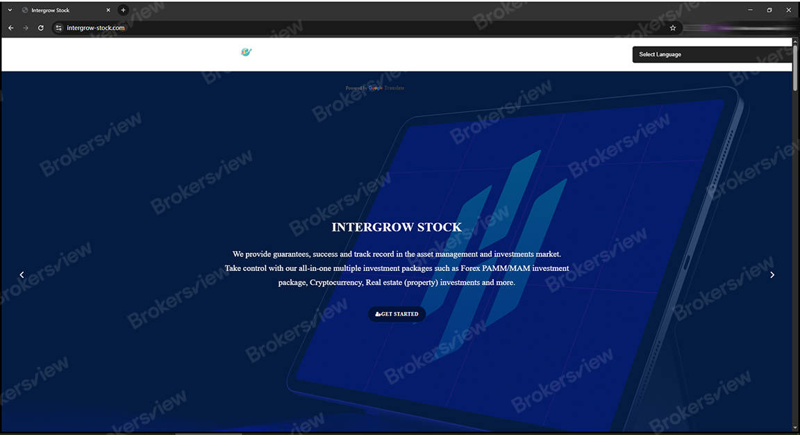 Intergrow Stock