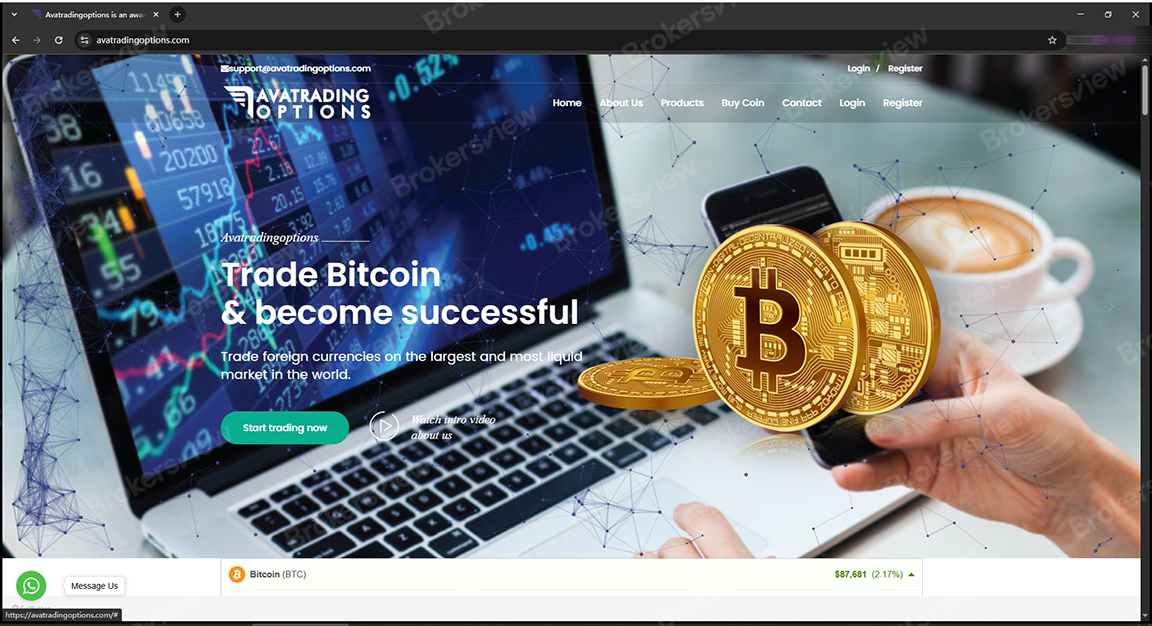 아바타레이딩 옵션