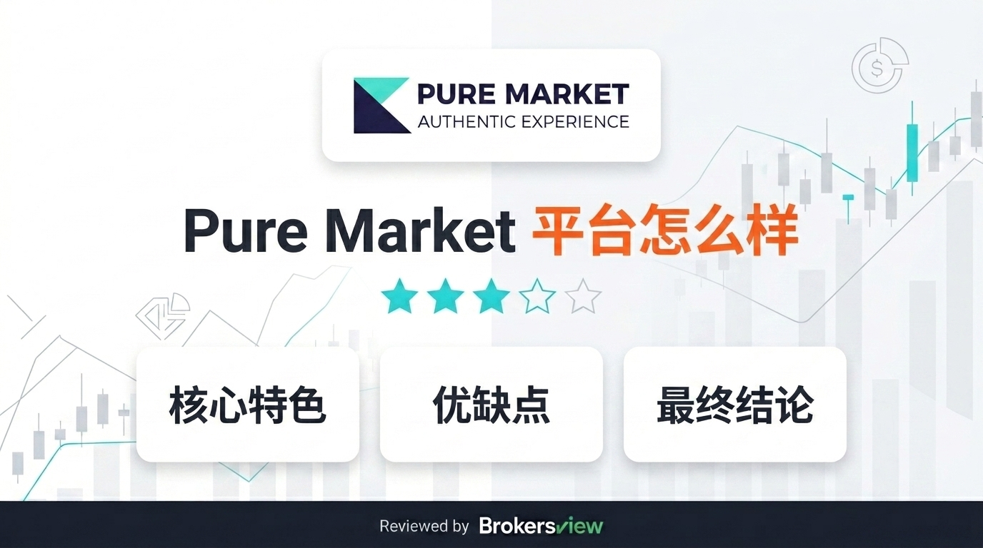Pure Market 评测