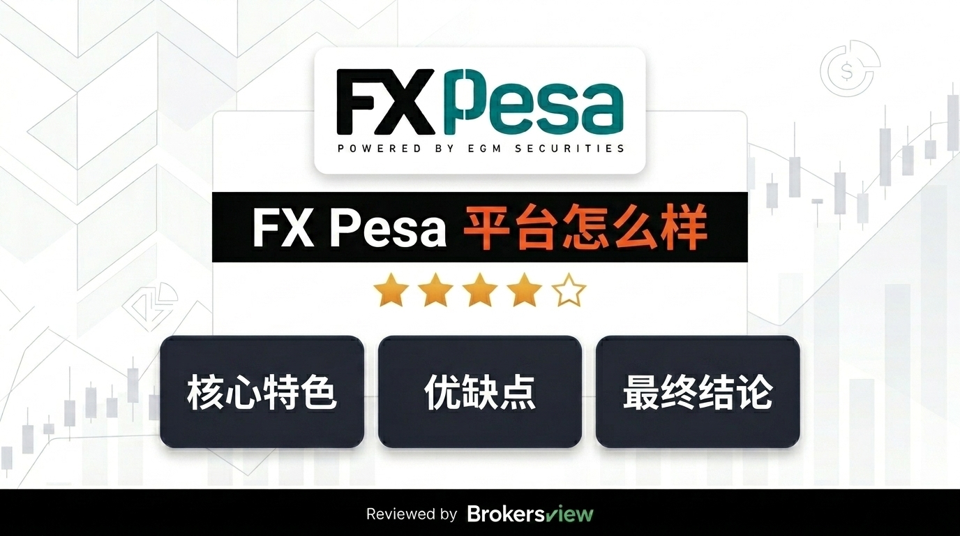 FX Pesa 评测