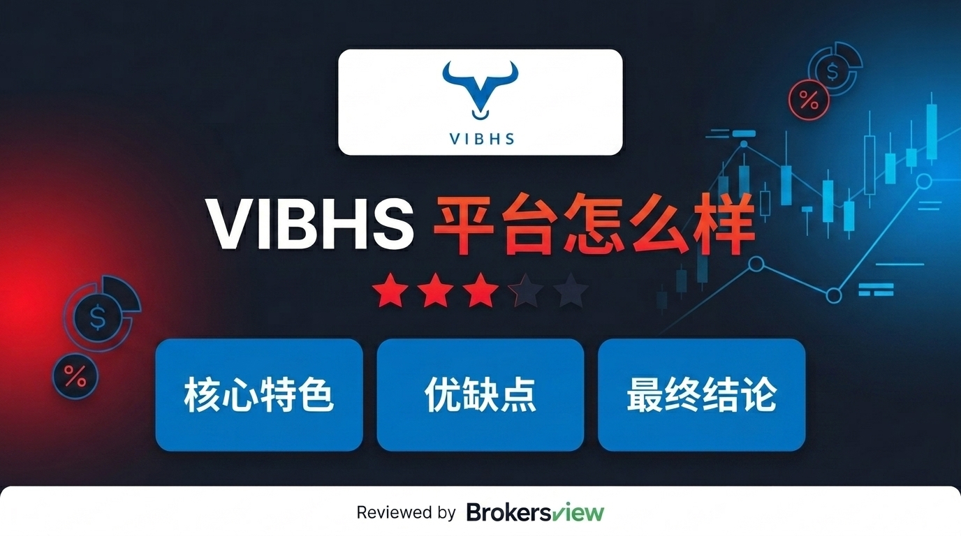 VIBHS 评测