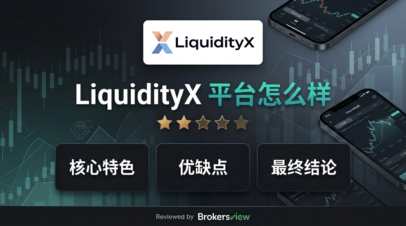 LiquidityX 评测