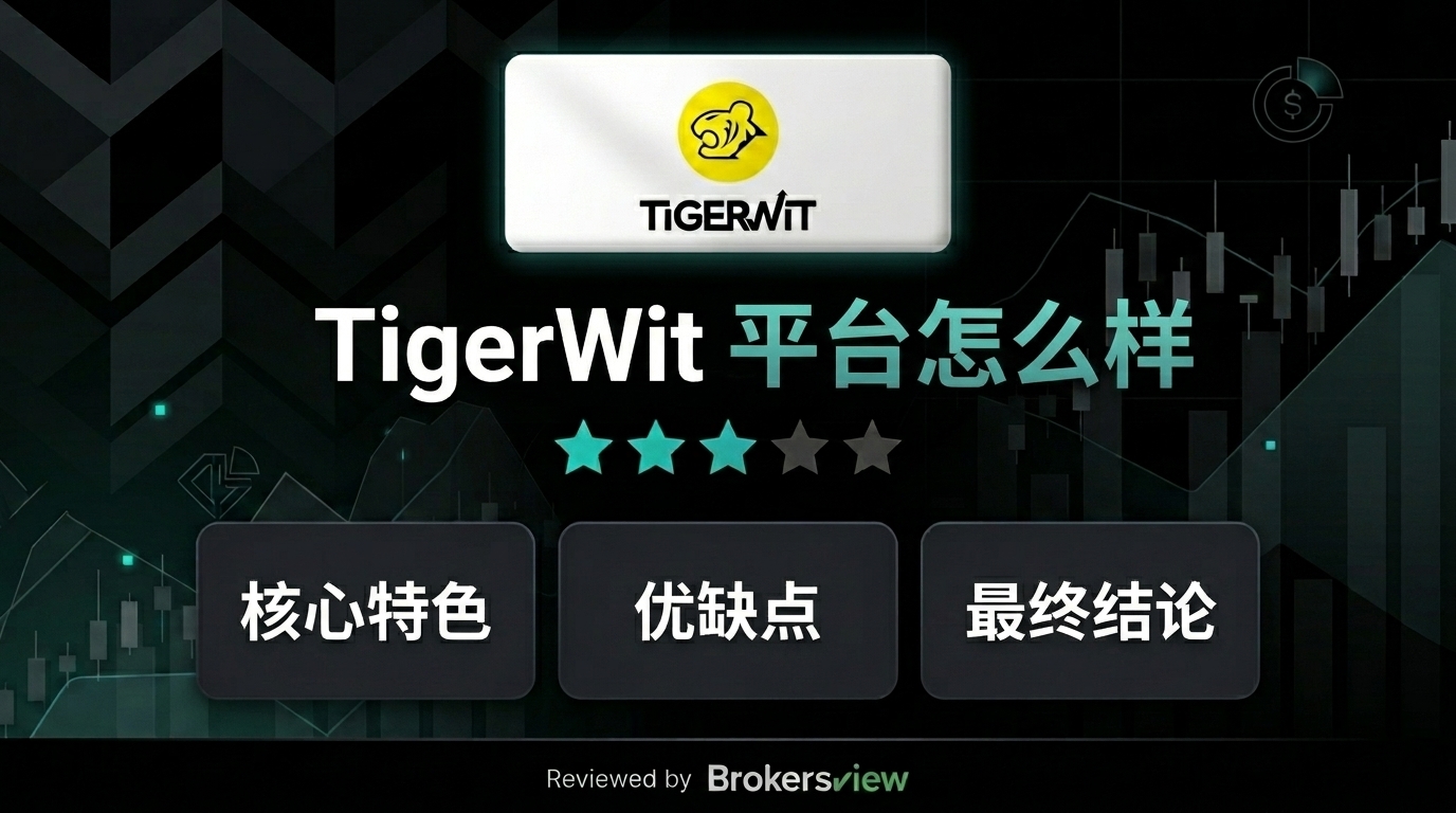 TigerWit 评估