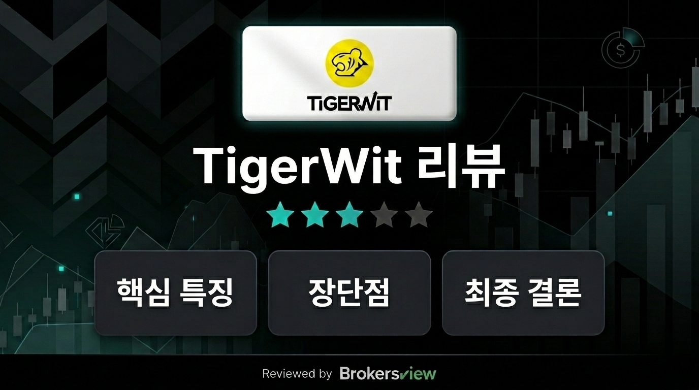 TigerWit 리뷰